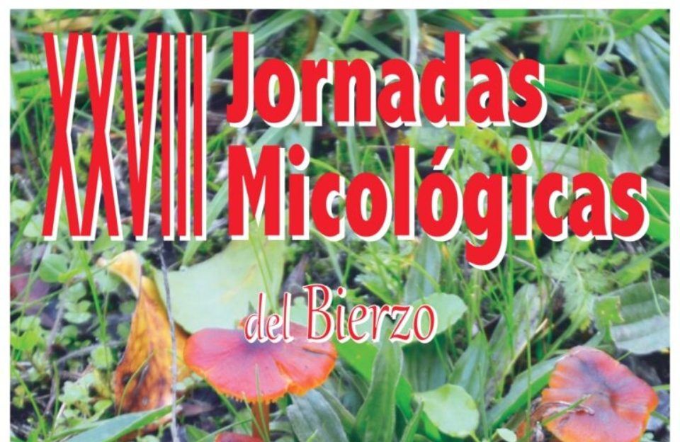 Jornadas micológicas del Bierzo 2023